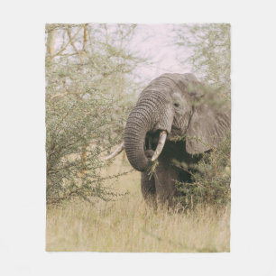 ELEPHANT DIE VAN EEN BOOM AFWEET FLEECE DEKEN