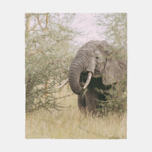 ELEPHANT DIE VAN EEN BOOM AFWEET FLEECE DEKEN (Voorkant)
