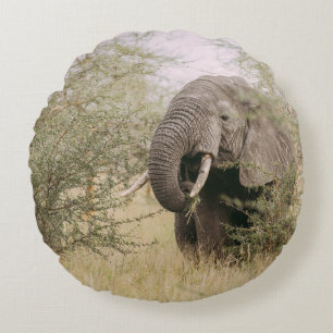 ELEPHANT DIE VAN EEN BOOM AFWEET ROND KUSSEN