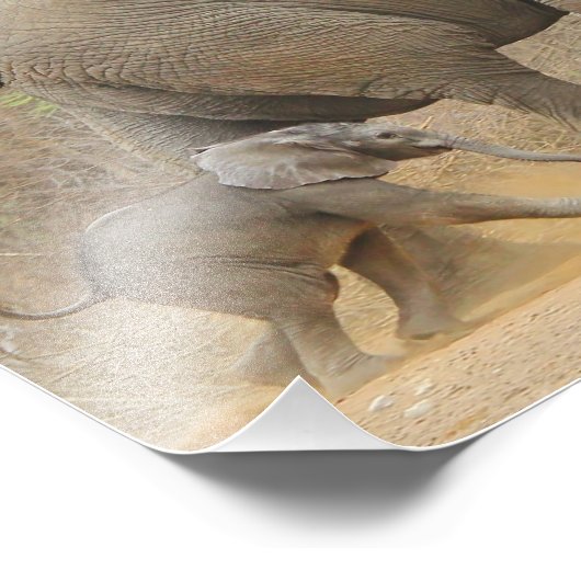 Elephant - Dierbaby's mooi Foto Afdruk (Hoek)