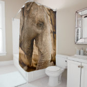 ELEPHANT DOUCHEGORDIJN (In situ)