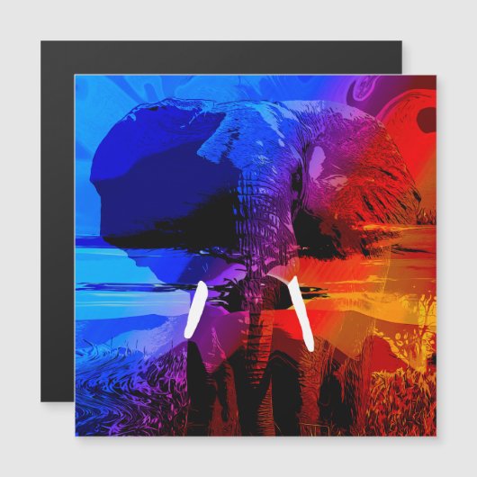 Elephant Dream (Voorkant / Achterkant)