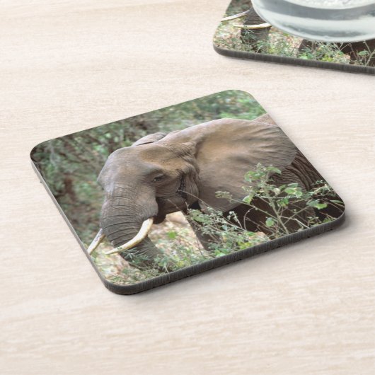 Elephant Drink Onderzetter (Linkerzijde)