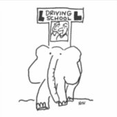 Elephant Driving Lessons. Grappig Sticker (Voorkant)