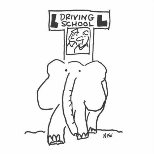 Elephant Driving Lessons. Grappig Sticker (Voorkant)