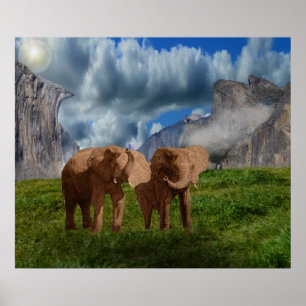 Elephant Duo Oil Paint, Poster