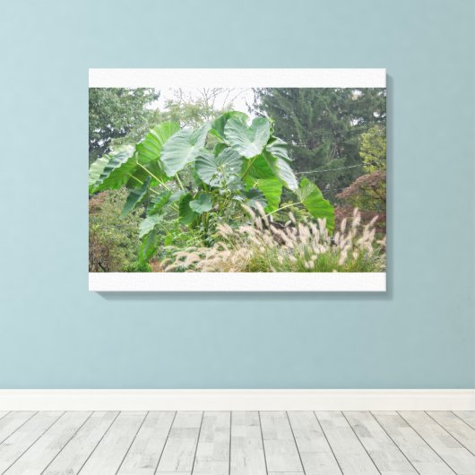 Elephant Ear Plant Canvas Afdruk (Insitu (Houten vloer))