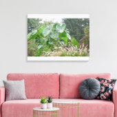 Elephant Ear Plant Canvas Afdruk (Insitu (Woonkamer))