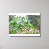 Elephant Ear Plant Canvas Afdruk (Voorkant)
