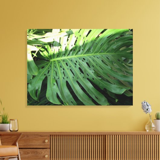 Elephant Ear Plant Canvas Print (Insitu (Woonkamer))