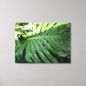 Elephant Ear Plant Canvas Print (Voorkant)