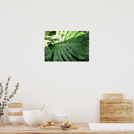Elephant Ear Plant Poster (Keuken)