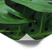 Elephant Ear Tropical Plant Poster (Hoek)