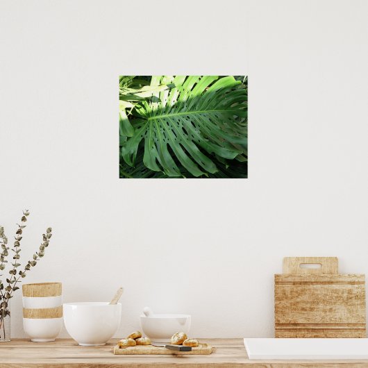 Elephant Ear Tropical Plant Poster (Keuken)