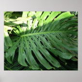 Elephant Ear Tropical Plant Poster (Voorkant)