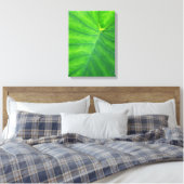 Elephant Ears - Colocasia Canvas Afdruk (Insitu (Slaapkamer))
