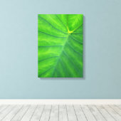 Elephant Ears - Colocasia Canvas Afdruk (Insitu (Houten vloer))