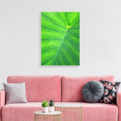 Elephant Ears - Colocasia Canvas Afdruk (Insitu (Woonkamer))