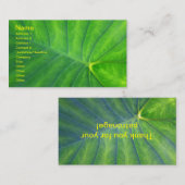 Elephant Ears - Colocasia Visitekaartje (Voorkant / Achterkant)