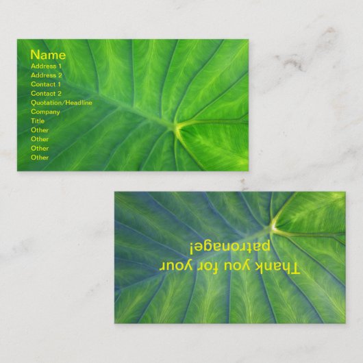 Elephant Ears - Colocasia Visitekaartje (Voorkant / Achterkant)