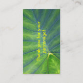 Elephant Ears - Colocasia Visitekaartje (Achterkant)