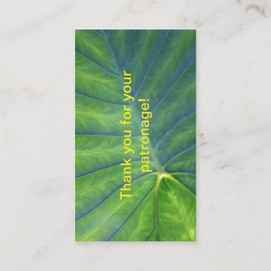 Elephant Ears - Colocasia Visitekaartje (Achterkant)