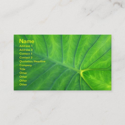 Elephant Ears - Colocasia Visitekaartje (Voorkant)