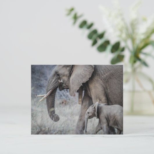 ELEPHANT EN BABY BRIEFKAART (Staand voorkant)