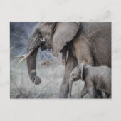 ELEPHANT EN BABY BRIEFKAART (Voorkant)