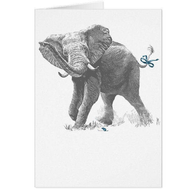 ELEPHANT EN MUIS (BOY) (Voorkant)