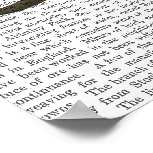 Elephant en Penguin Poster (Hoek)