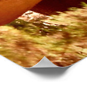 ELEPHANT EN RHINO LIJKEN NIET ELKAAR POSTER (Hoek)