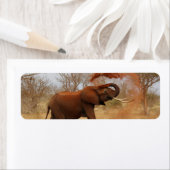 Elephant Etiket (Insitu)