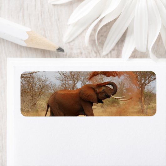 Elephant Etiket (Insitu)