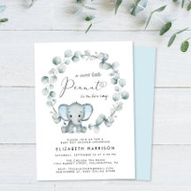 Elephant Eucalyptus Baby Boy Shower