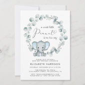 Elephant Eucalyptus Baby Boy Sprinkle Kaart (Voorkant)