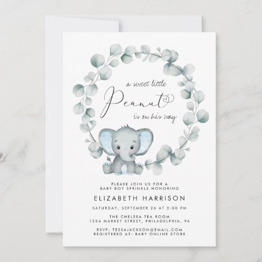 Elephant Eucalyptus Baby Boy Sprinkle Kaart (Voorkant)