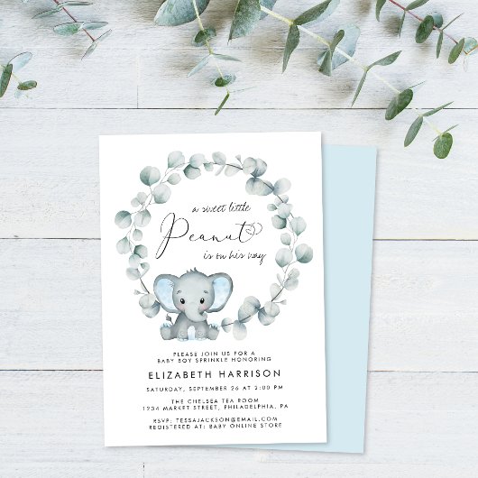 Elephant Eucalyptus Baby Boy Sprinkle Kaart