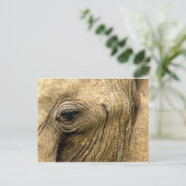 Elephant Eye Briefkaart (Staand voorkant)