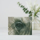 Elephant Eye Briefkaart (Staand voorkant)