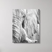 Elephant Eye Canvas Afdruk (Voorkant)