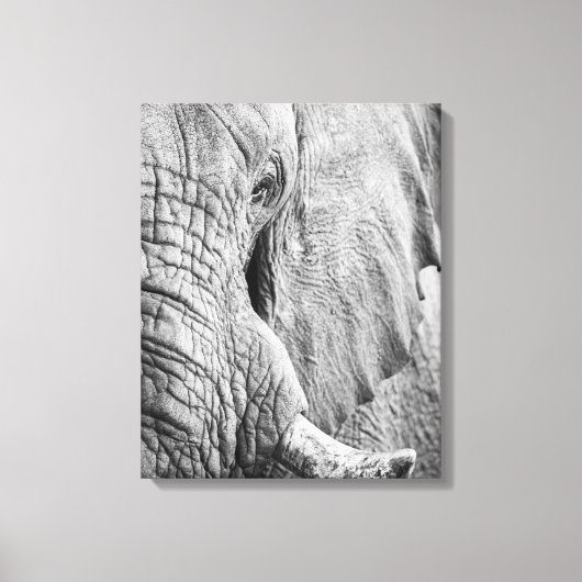 Elephant Eye Canvas Afdruk (Voorkant)