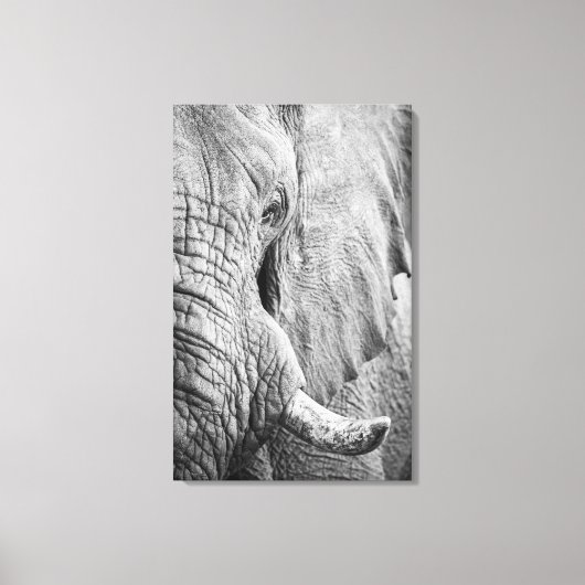 Elephant Eye Canvas Afdruk (Voorkant)