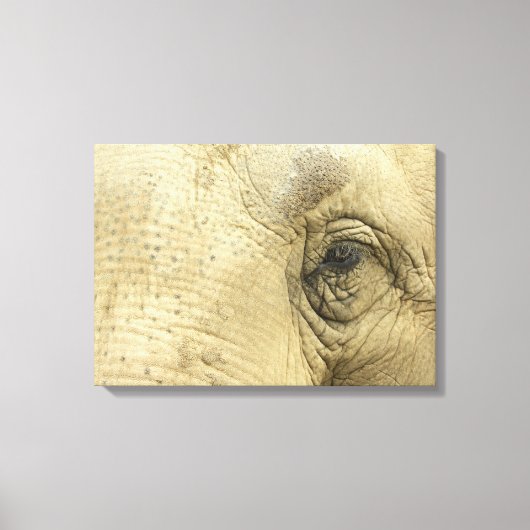 Elephant Eye Closeup Canvas Print (Voorkant)