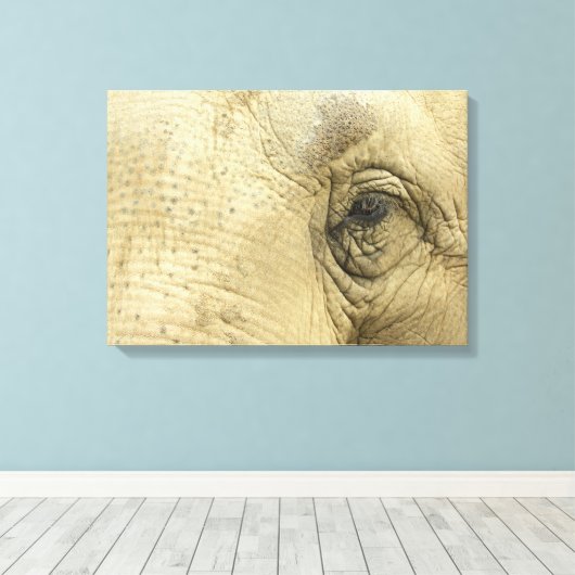 Elephant Eye Closeup Canvas Print (Insitu (Houten vloer))