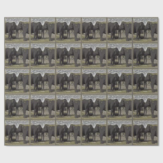 Elephant Eyes Cadeaupapier (Vlak)