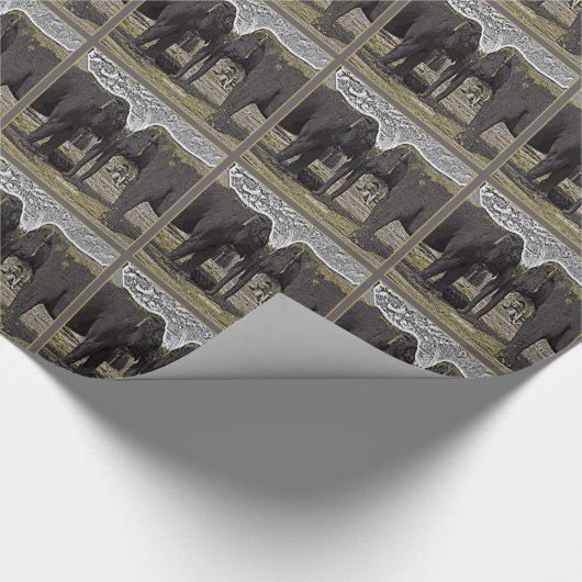 Elephant Eyes Cadeaupapier (Hoek)