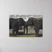 Elephant Eyes Canvas Afdruk (Voorkant)