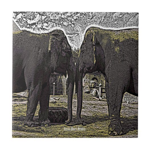 Elephant Eyes Tegeltje (Voorkant)