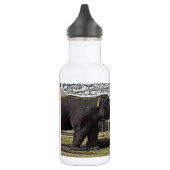 Elephant Eyes Waterfles (Links)